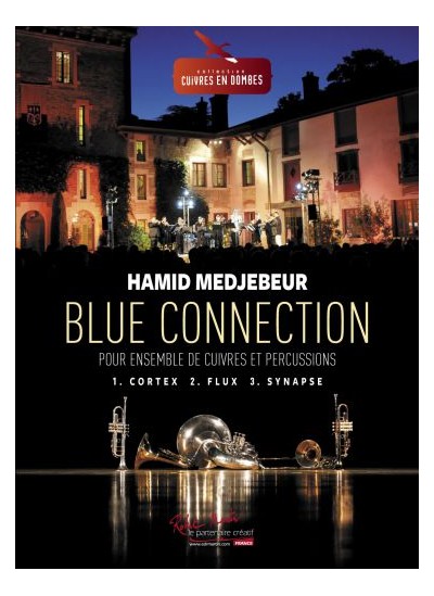 rm5997-medjebeur-blue-connection