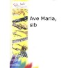 rm1486-schubert-ave-maria